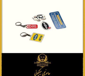 جاسوئیچی سیلیکونی